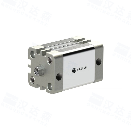 ��&nbsp;RIEGLER&nbsp;���&nbsp;15.DMI.12005